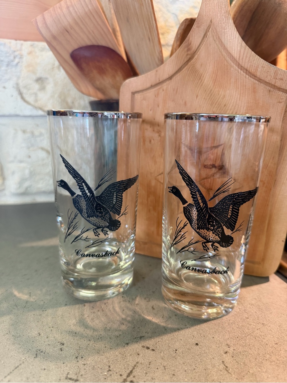 Silver-Rimmed Highball Glasses with Duck Motif - Set of 2